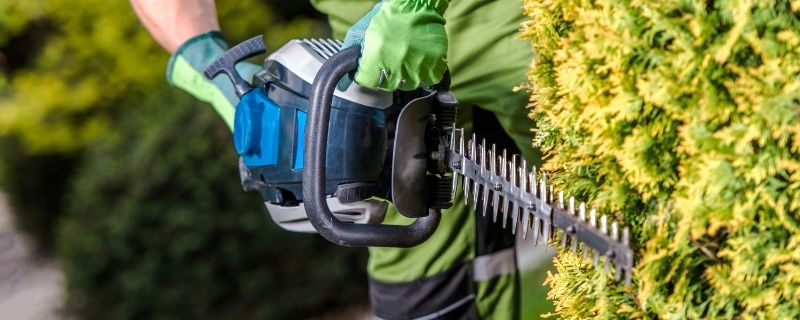 Formation aux métiers du paysagisme